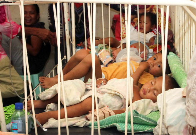 [Photo] Bùng phát dịch bệnh giống dịch tả tại Philippines ảnh 2