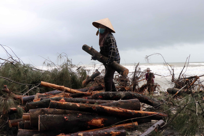 Cần giám sát kỹ vấn đề an toàn hồ đập và trồng bù rừng ảnh 1