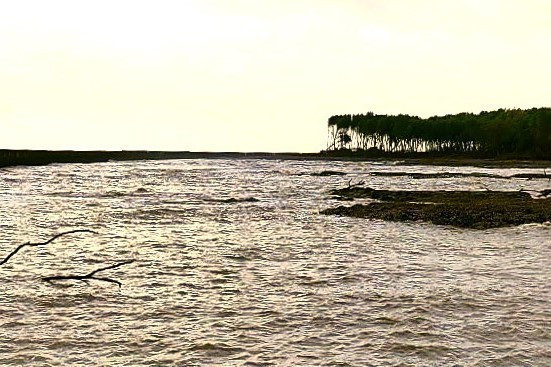 Cà Mau: Khẩn trương tìm kiếm cán bộ đi làm nhiệm vụ bị rơi xuống biển ảnh 1