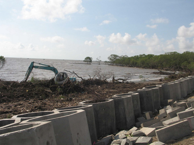 Tiền Giang đầu tư 60 tỷ đồng nâng cấp đê biển Gò Công ảnh 1