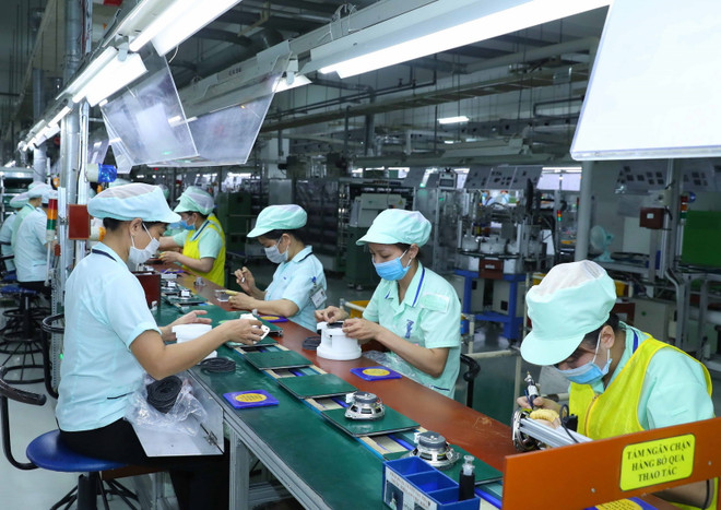 Tăng cường dự báo thị trường lao động, kết nối cung-cầu nguồn nhân lực ảnh 1