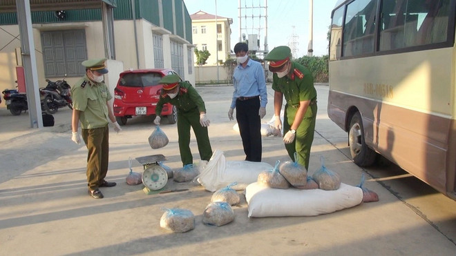 Thanh Hóa: Bắt giữ xe ôtô vận chuyển hơn nửa tấn thịt lợn ôi thiu ảnh 1