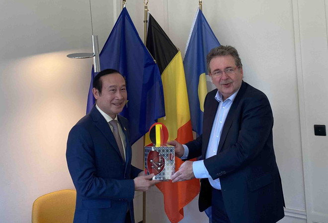 Tăng cường hợp tác giữa địa phương của Việt Nam và vùng thủ đô của Bỉ ảnh 1