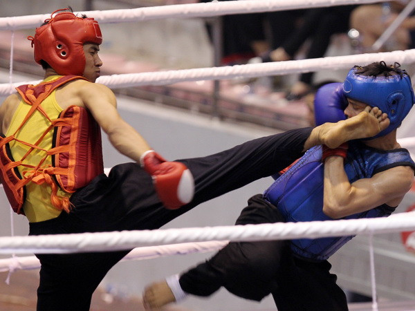 Khai mạc giải Boxing và Võ thuật cổ truyền Let’s Việt 2014 ảnh 1
