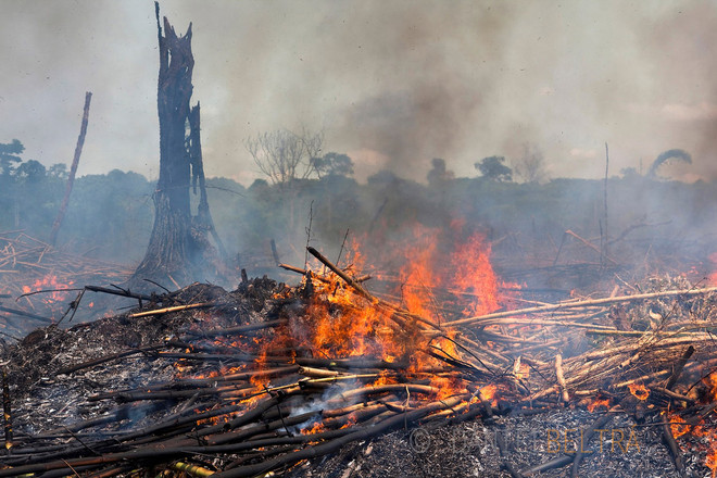 CHDC Congo: Cháy lớn làm hàng nghìn người mất nhà cửa ảnh 1