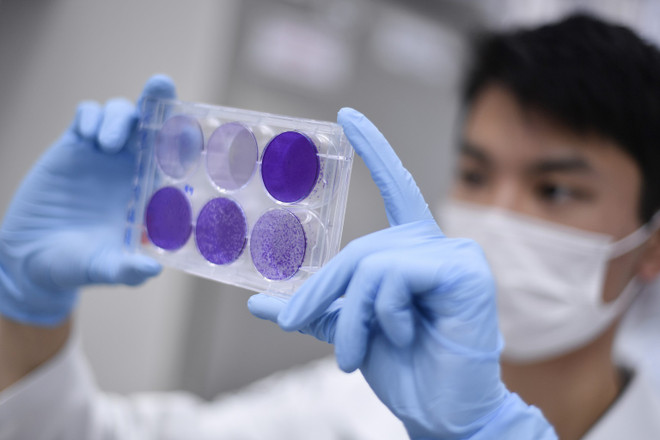 Nghiên cứu vắcxin phòng COVID-19. (Ảnh: AFP/TTXVN) Loại vắcxin COVID-19 của Johnson & Johnson cho phản ứng miễn dịch mạnh ảnh 1