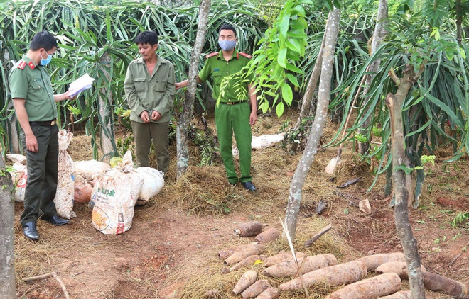 Quảng Bình: Khởi tố vụ mua bán, tàng trữ trái phép hơn 450 kg thuốc nổ ảnh 1
