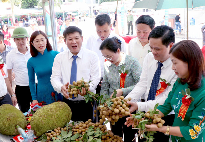 Sơn La tìm đầu ra cho nhãn, xoài trong tình hình dịch COVID-19 ảnh 1