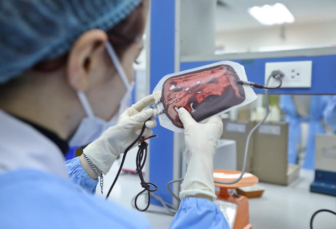 Các bệnh viện ở Đồng bằng sông Cửu Long thiếu máu trầm trọng ảnh 1