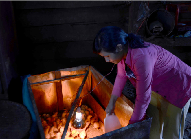 Điện lực Đắk Nông khuyến khích thanh toán không dùng tiền mặt ảnh 2