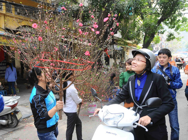 [Video] Bắc Bộ sẽ đón đợt rét vào dịp Tết Nguyên Đán Ất Mùi ảnh 1