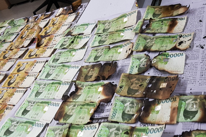 Hàn Quốc: Hơn 1 tỷ USD bị hư hại do người dân tự ý khử trùng tiền mặt ảnh 1