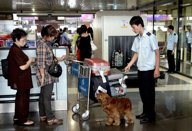 Chặn điểm nóng buôn lậu qua đường hàng không dịp Tết Nguyên đán ảnh 1