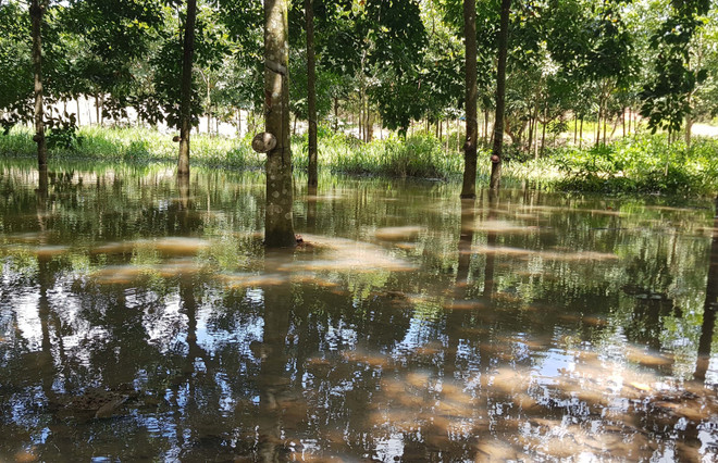 Bình Phước: Bãi đãi cát hoạt động “chui” gần khu dân cư ảnh 2