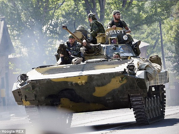 [Video] Liên hợp quốc kêu gọi tạo điều kiện điều tra vụ MH17 ảnh 1