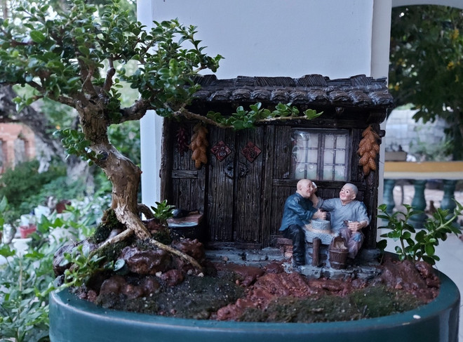 Gặp gỡ Kỷ lục gia thế giới với bộ sưu tập 5.600 bonsai, tiểu cảnh mini ảnh 2