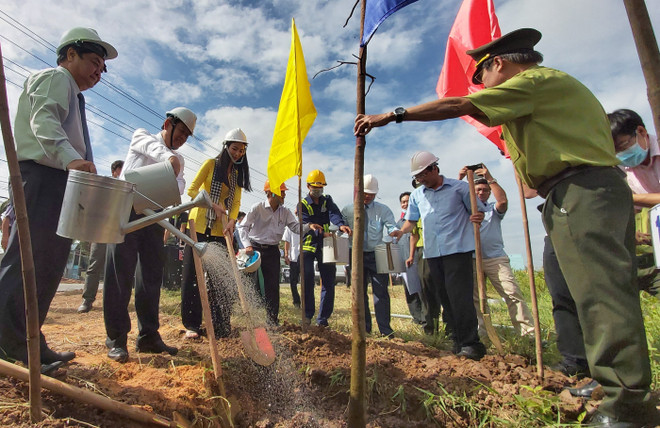 Thủ tướng gửi thư khen tỉnh Bến Tre hưởng ứng trồng 10 triệu cây xanh ảnh 1