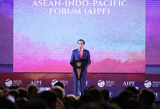 Khuyến khích phát triển ASEAN bền vững thông qua AIPF ảnh 2