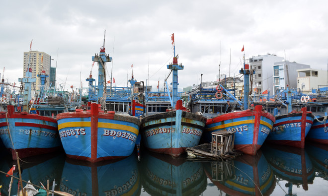 Bình Thuận đến Cà Mau chủ động ứng phó với sóng to, gió mạnh ảnh 1