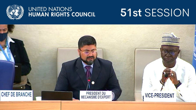 LHQ kêu gọi cộng đồng quốc tế ngăn chặn nạn phân biệt chủng tộc ảnh 1