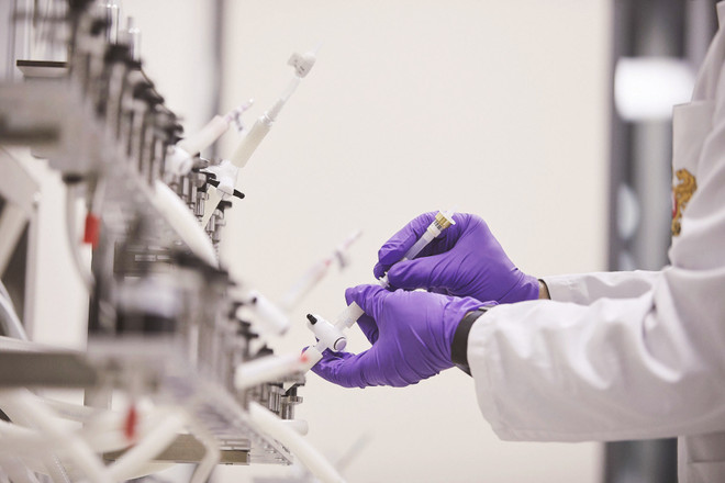 Phát kiến sáng tạo và phát triển bền vững: Cần đi từ gốc tới ngọn ảnh 2