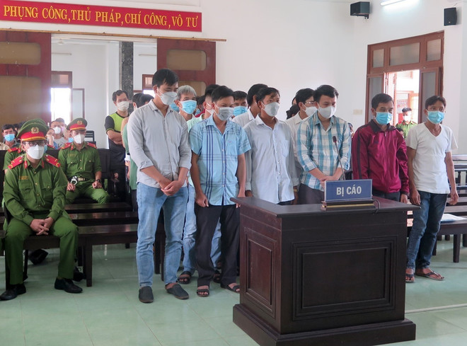Phạt tù 34 bị cáo liên quan đến vụ phá rừng tại Phú Yên ảnh 1