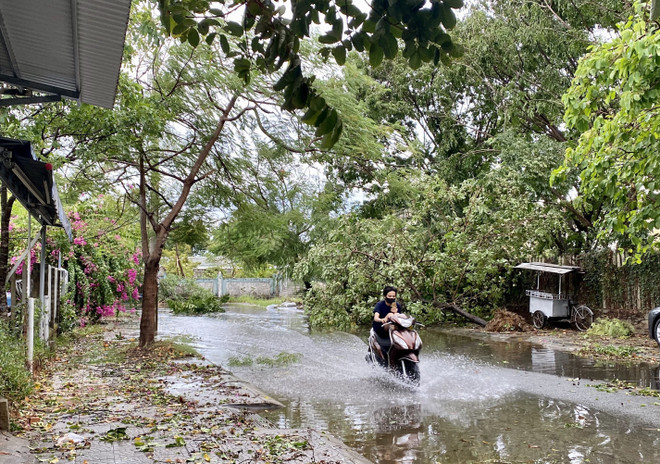 Thừa Thiên-Huế: Bão số 5 làm một người chết, gây nhiều thiệt hại ảnh 2