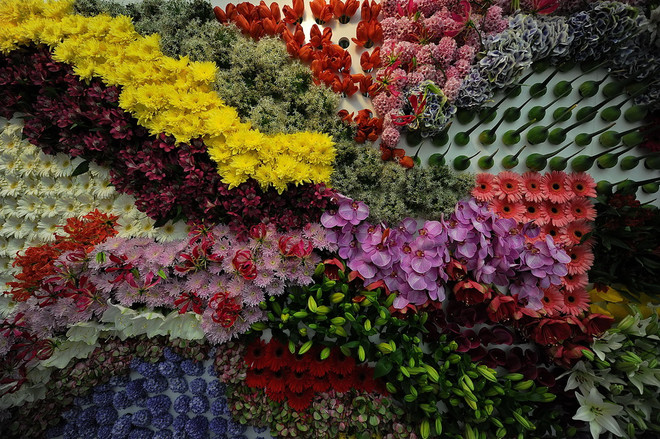 [Photo] Triển lãm quốc tế về kinh doanh hoa tại Kenya ảnh 1