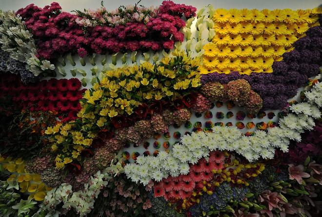 [Photo] Triển lãm quốc tế về kinh doanh hoa tại Kenya ảnh 3