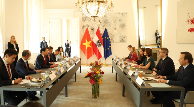 Bộ trưởng Ngoại giao Bùi Thanh Sơn thăm chính thức Cộng hòa Áo ảnh 2