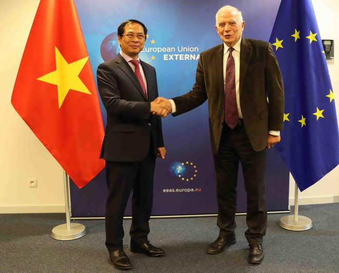 Bộ trưởng Bùi Thanh Sơn gặp Phó Chủ tịch Ủy ban châu Âu Josep Borrell ảnh 1
