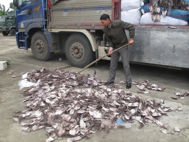 Bắt vụ vận chuyển hơn 21 tấn mực khô đã bốc mùi hôi thối ảnh 1