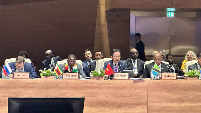 Việt Nam tham dự Hội nghị Bộ trưởng Phong trào Không liên kết ảnh 1