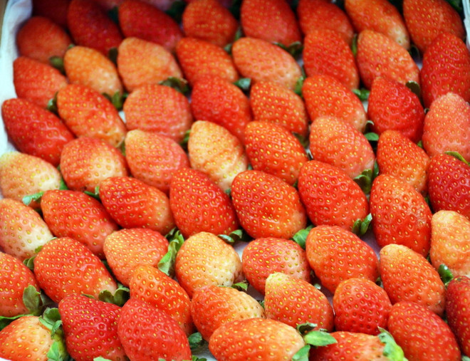 Tạm giữ 3,5 tấn dâu tây nghi hàng Trung Quốc đưa về Đà Lạt tiêu thụ ảnh 1