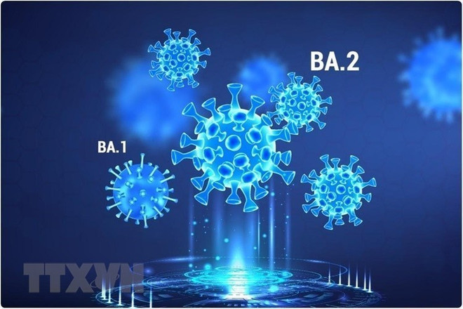 Sự "biến hình" khó lường khi virus SARS-CoV-2 tái tổ hợp ảnh 1