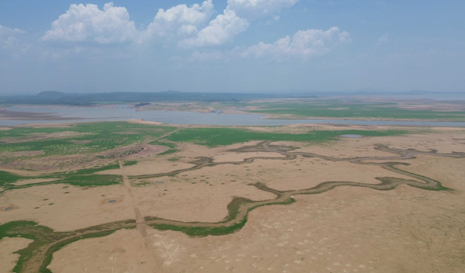 El Nino diễn ra với cường độ mạnh vào cuối năm 2023, đầu năm 2024 ảnh 1