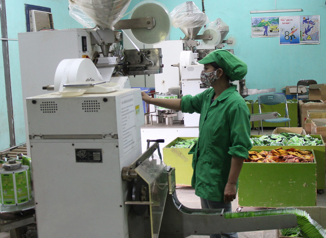 Doanh nghiệp chế biến, xuất khẩu chè chú trọng thị trường nội địa ảnh 1