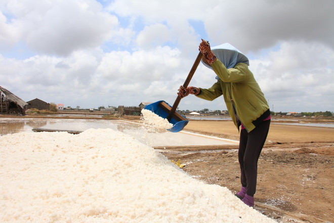 Thời tiết bất thường, muối rớt giá, diêm dân Bến Tre gặp khó khăn ảnh 1
