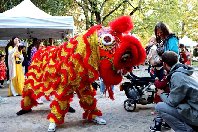 Sôi nổi Ngày hội gia đình của cộng đồng người Việt Nam tại Bỉ ảnh 1