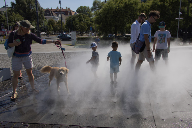 Chỉ số kinh tế châu Âu sụt giảm do nắng nóng cực đoan bao trùm ảnh 2