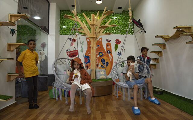 Độc đáo quán càphê mèo giúp giải tỏa áp lực cuộc sống tại Dải Gaza ảnh 1