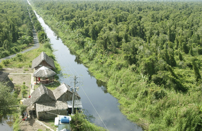 Chấn chỉnh việc quản lý, sử dụng đất rừng Vườn Quốc gia U Minh Hạ ảnh 1