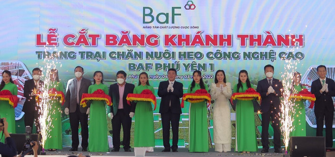 Phú Yên khánh thành trang trại chăn nuôi lợn giống công nghệ cao ảnh 1