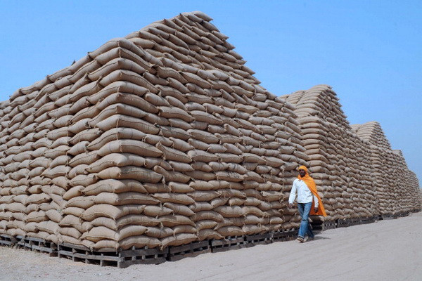 Ấn Độ có thể gia hạn quy định tích trữ hàng hóa thiết yếu ảnh 1