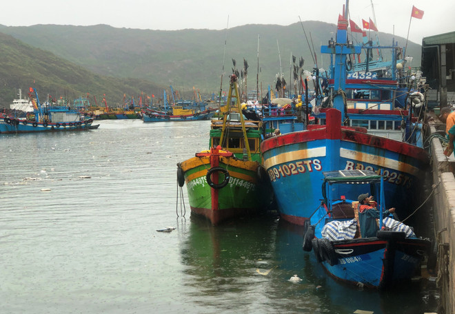 Kịp thời cứu nạn 11 ngư dân bị chìm tàu ở cửa biển Quy Nhơn ảnh 1