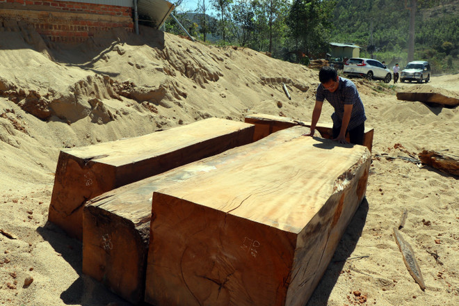 Kon Tum: Phát hiện thêm 2 điểm tập kết gỗ lậu của "lâm tặc" ở Đăk Pxi ảnh 2