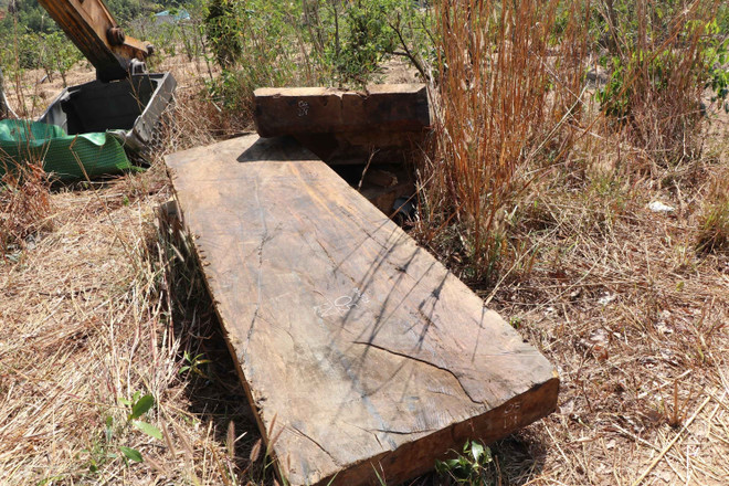 Kon Tum: Phát hiện thêm 2 điểm tập kết gỗ lậu của "lâm tặc" ở Đăk Pxi ảnh 1