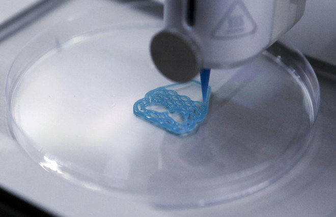 KFC hợp tác với công ty Nga sản xuất thịt gà trong phòng thí nghiệm ảnh 2