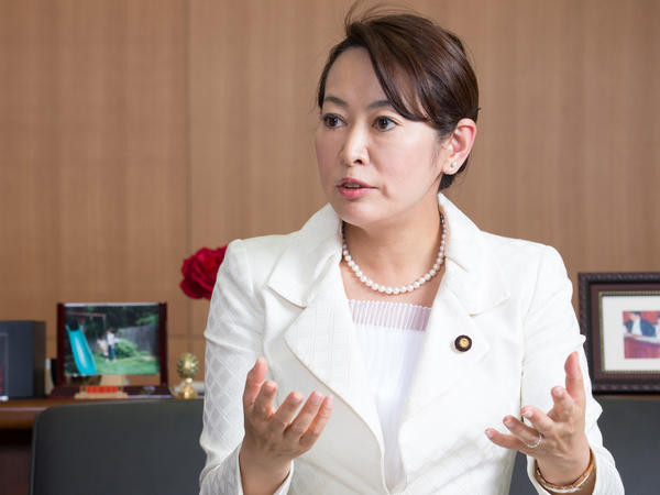 Nhật Bản gây sức ép đòi Liban dẫn độ cựu Chủ tịch Nissan ảnh 1