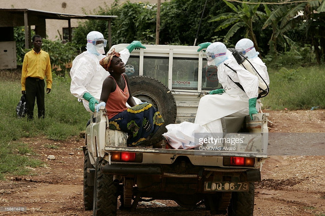 Angola: Dịch sốt vàng da bùng phát, hơn 50 người tử vong ảnh 1